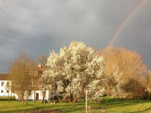 Spacious Apartment in Boddin with Garden