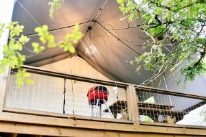 Relaxing Texas Vacation by the Water | Birdhouse Cabin