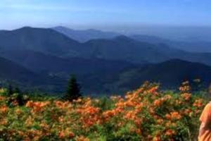 Luxury Redefined: Todd, NC Dome with Private Hot Tub, Unparalleled Views, and Outdoor Oasis