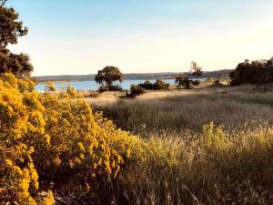 Canyon Lake Container Offering Spectacular Views of Nature From the Surrounding Porch, Near Guadalupe River in Texas