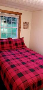 Carroll, NH Pet-Friendly Cabin with Hot Tub: Your Ultimate Retreat