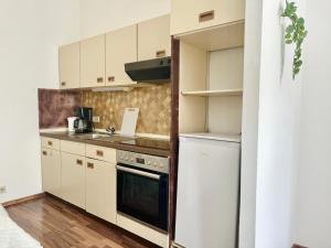 Central Long-Term Apartment near First District