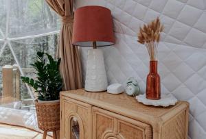 Georgias Trendy Family Escape: Dome with Private Hot Tub in Cherry Log