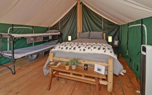 Safari Tent Bliss for You and Your Best Friend: Pet-Friendly Glamping in Suches, Georgia