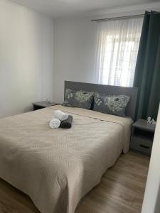 Wonderful Apartments & Rooms