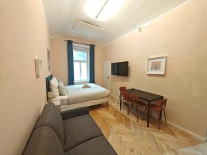 Spacious, Light Studio Apartment in Vinohrady