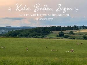 NaturZentral - Privatresidenz mit Sauna, Terrasse & Naturblick sowie großer Wiese für Auszeiten allein, zu zweit oder mit Kind