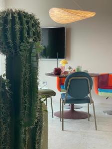 Sunday Apartamenty SPA 1