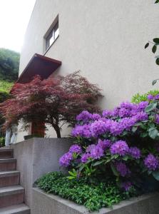 Ferienwohnungen Mazzon