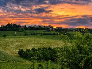 Villa Irene Langhe