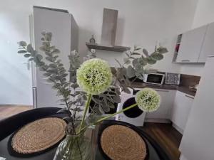 Appartement T3 Centre Nîmes - 2 ch - Maison Carrée