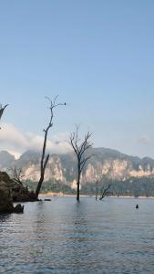 ขุนเขาฟาร์มสเตย์ KhunKhao Mountain Farmstay