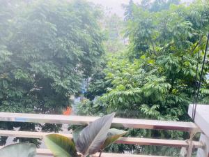 Tula Homestay