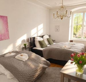BELLA - Business&Family Ap 7, 100m vom Konzerteingang Schloß, Parkplatz, SmartTV, Netflix, Waschmaschine, 24h Checkin, 31qm