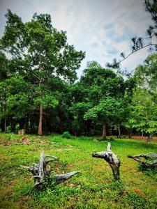 Blue Sky Hill Homestay Chaiyaphum