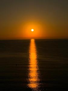 Oasis Mediterráneo