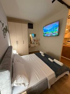 Tirana City Center Apartment