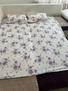 Apartman Teodor Vranje