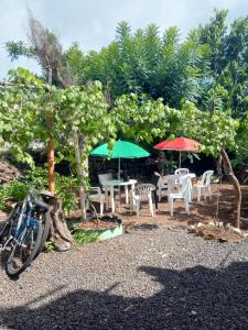 Private room for 4 people, Casa Oasis Galapagos