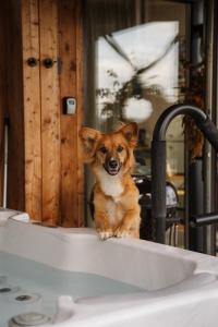 Garczovka - domki, jacuzzi, sauna