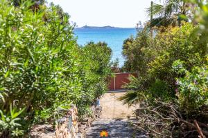 Villa Teresa Simius