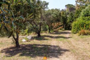 Villa Teresa Simius img44