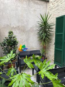 Le case di Marianna Bettona