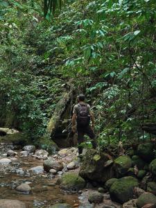 Wild Wasi - Private Jungle Villa