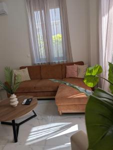 Modh Patras City Centre - Modern Design Oasis