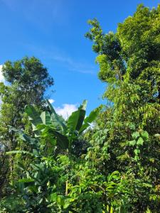 The Sinta Bali