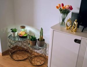Arena Zagreb, 2BDR, Parking - Lux designe