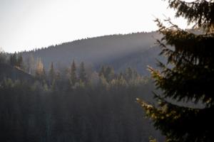 Alpine Chalet - Ski & Lake Belis