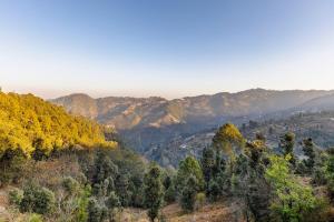 Cabin by The Woods - Mukteshwar - Authentic Forest Stay