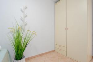 Suite Solea img44