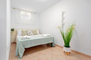 Suite Solea img50
