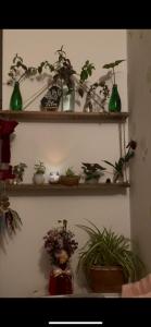 Kiyos Apartment