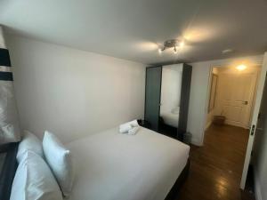 Modern 2 BDR APT Havelock Road UB2
