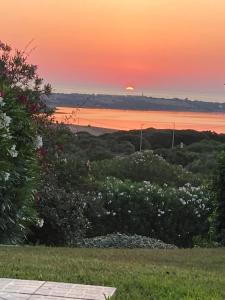 Villa Bianca img13