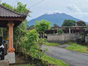 Cozzy Villa Taman near Sidemen Bali
