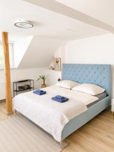 Elysian 3 apartment - TEAM