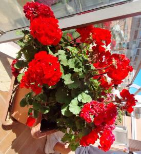 Luciana Apt - 3 min train to FCO Airport & Fiera