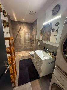 Business Apartment Rheintal 98 qm, 2 TG Plätze, ideal für 1 bis 2 Personen