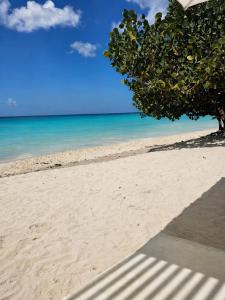 Aqua Esmeralda Luxury Beachfront Curazao 103