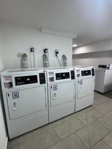 Dpto Estudio, Movistar, Parque Ohiggins