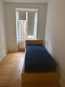 Basel Shared Apartment