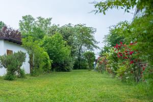LUCIA s sweet Home