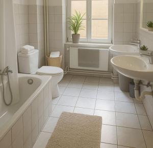 Basel Shared Apartment