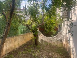 Villa Mango