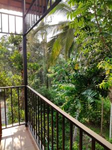 FOREST LIGHT Villas