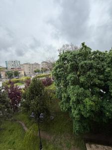 Ultra Central Studio Teatru Craiova